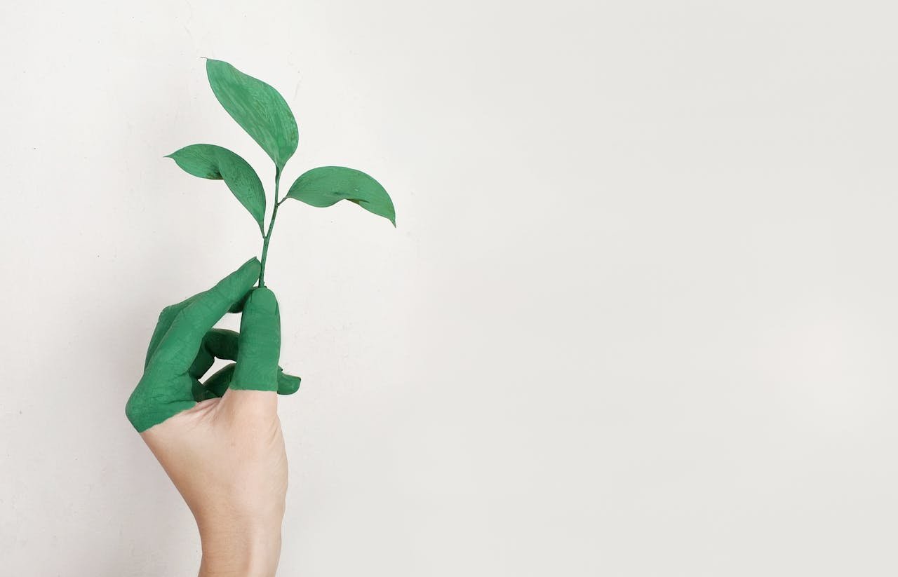 ecofriend